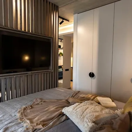 New Cozy Studio Apartman Vilnius